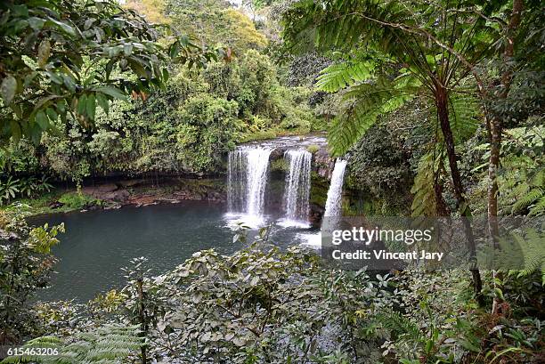 tad champee waterfall laos asia - meseta de bolaven fotografías e imágenes de stock