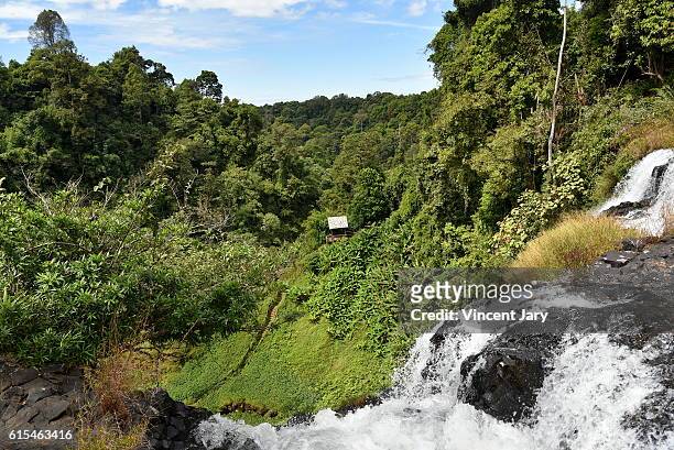 tad yuang waterfall laos asia - meseta de bolaven fotografías e imágenes de stock