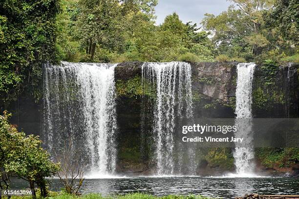 tad champee waterfall laos asia - meseta de bolaven fotografías e imágenes de stock