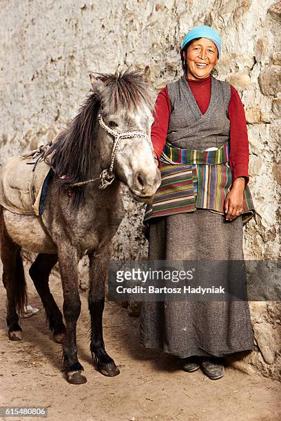 tibetan woman leads her horse, upper mustang, nepal - lo manthang stock pictures, royalty-free photos & images