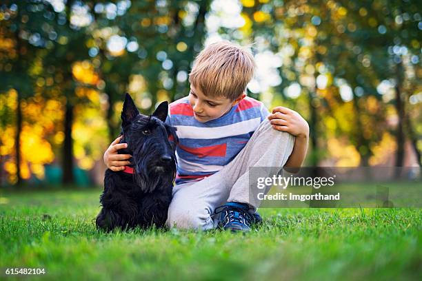 little boy with his pet pal in autumn park - scottish terrier stock pictures, royalty-free photos & images