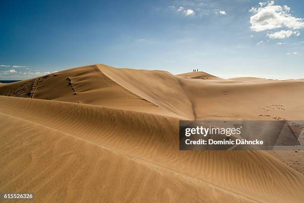 maspalomas' dunes (gran canaria. canary islands. spain) - dune foto e immagini stock