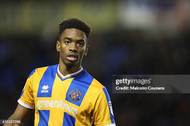 Ivan Toney of Shrewsbury Town looks on during the Sky Bet League One game between Shrewsbury Town and Sheffield United at Greenhous Meadow on October...