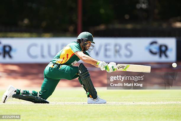 Dominic Michael of the Tigers bats during the Matador BBQs One Day Cup match between South Australia and Tasmania at Hurstville Oval on October 19,...