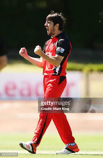 Cameron Valente of the Redbacks celebrates taking the wicket of Beau Webster of the Tigers during the Matador BBQs One Day Cup match between South...