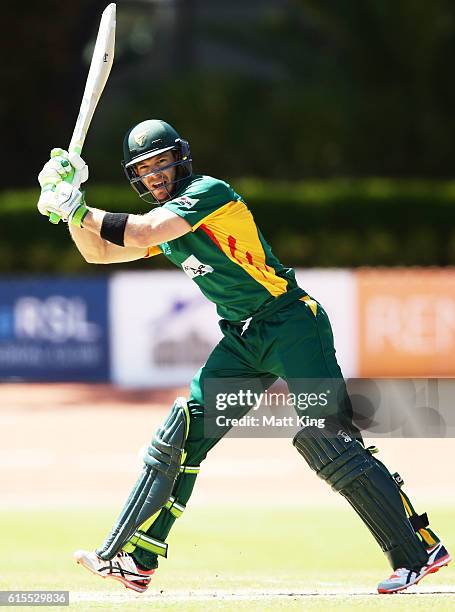 Tim Paine of the Tigers bats during the Matador BBQs One Day Cup match between South Australia and Tasmania at Hurstville Oval on October 19, 2016 in...