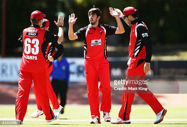 Cameron Valente of the Redbacks celebrates with team mates after taking the wicket of Beau Webster of the Tigers during the Matador BBQs One Day Cup...