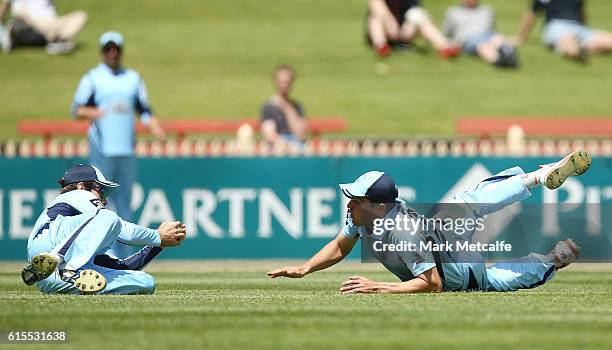 Ryan Carters of the Blues takes a catch to dismiss Adam Voges of the Warriors during the Matador BBQs One Day Cup match between New South Wales and...