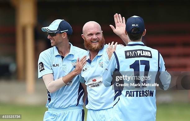 Doug Bollinger of the Blues celebrates with team mates after taking the wicket of Ashton Turner of the Warriors during the Matador BBQs One Day Cup...