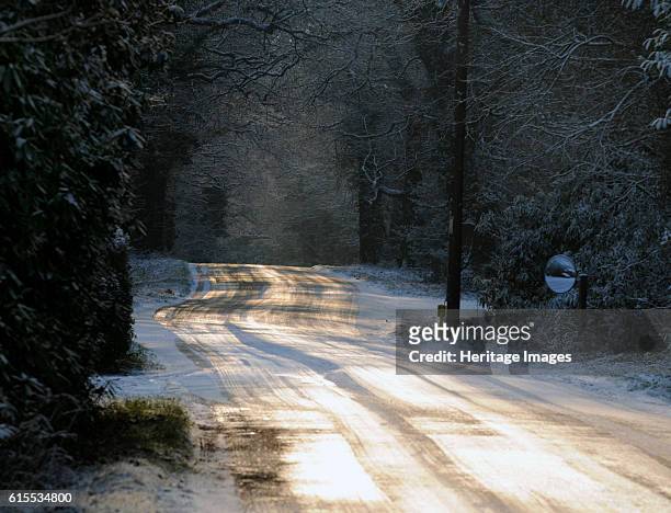 Sun glinting off an icy road in the New Forest 2009. Artist Unknown.