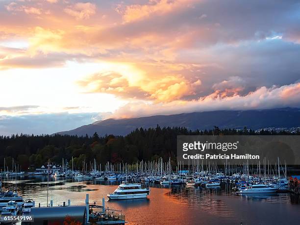 sunset, vancouver marina - vancouver harbour stock pictures, royalty-free photos & images