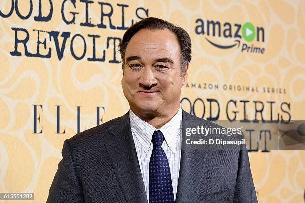 Jim Belushi attends the "Good Girls Revolt" New York screening at the Joseph Urban Theater at Hearst Tower on October 18, 2016 in New York City.