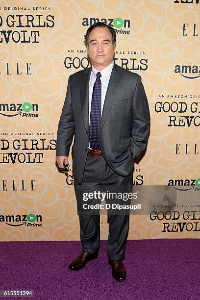 Jim Belushi attends the "Good Girls Revolt" New York screening at the Joseph Urban Theater at Hearst Tower on October 18, 2016 in New York City.