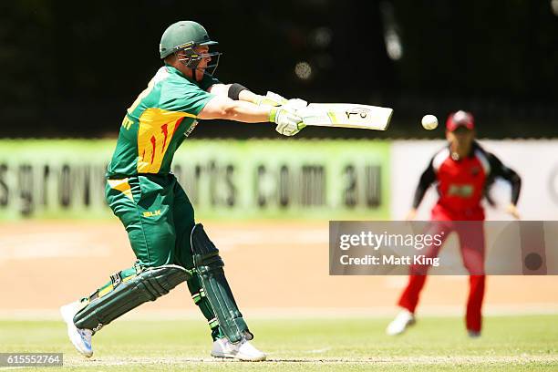Ben McDermott of the Tigers bats during the Matador BBQs One Day Cup match between South Australia and Tasmania at Hurstville Oval on October 19,...