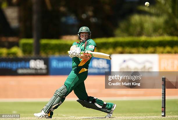 James Faulkner of the Tigers bats during the Matador BBQs One Day Cup match between South Australia and Tasmania at Hurstville Oval on October 19,...