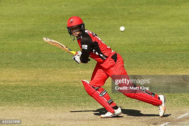 Alex Carey of the Redbacks bats during the Matador BBQs One Day Cup match between South Australia and Tasmania at Hurstville Oval on October 19, 2016...