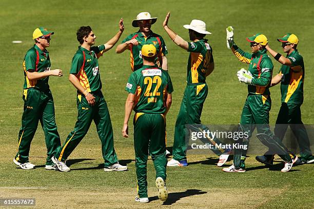 Simon Milenko of the Tigers celebrates with team mates after taking the wicket of Callum Ferguson of the Redbacks during the Matador BBQs One Day Cup...