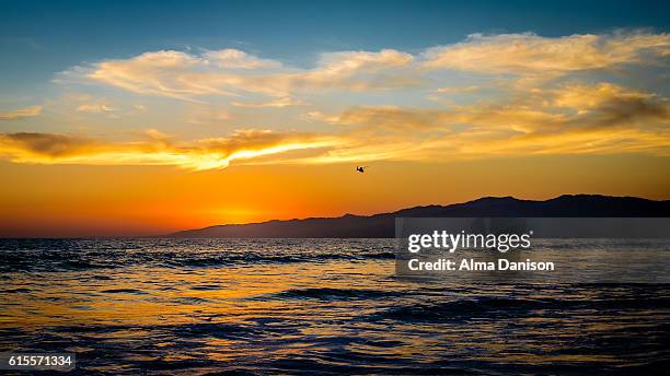 helicopter flying towards the sunset - alma danison stock pictures, royalty-free photos & images