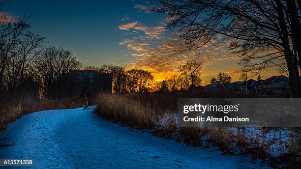 snowy path under sunset light - alma danison stock pictures, royalty-free photos & images