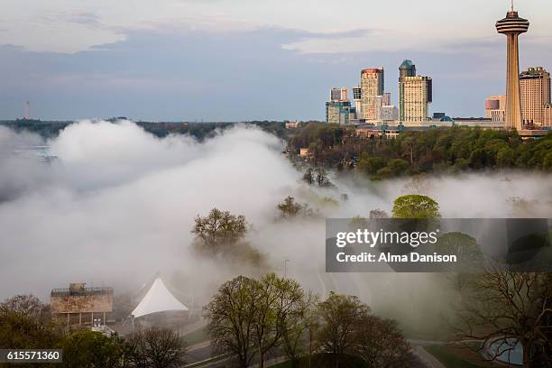 niagara falls early morning - alma danison stock pictures, royalty-free photos & images