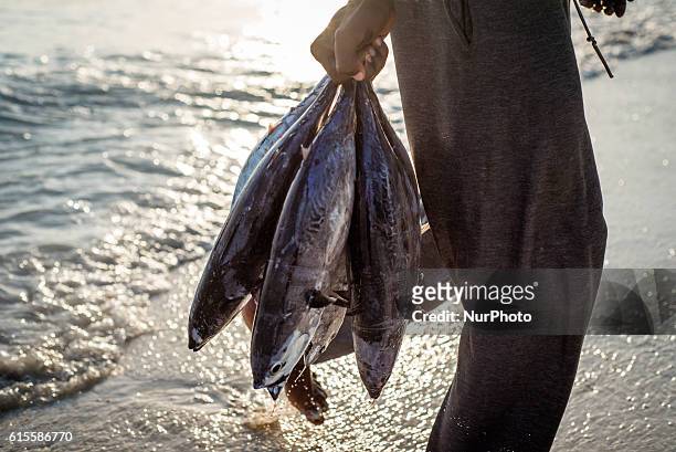 Fisherman carries his catch, the yellowfin tuna, to the fish market near the ocean in Nungwi village, Zanzibar. Dealers are ready to bargain for fish...