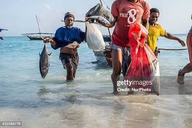 Fishermen carry their catch, the yellowfin tuna, to the fish market near the ocean in Nungwi village, Zanzibar. Dealers are ready to bargain for fish...