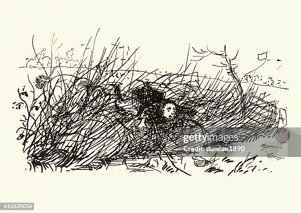 sketch of a man falling into a thicket - copse stock illustrations