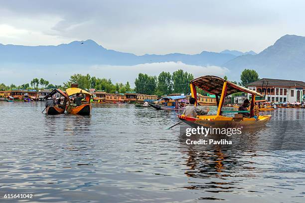 shikara boote auf dem lake dal srinagar, indien - shikara stock-fotos und bilder