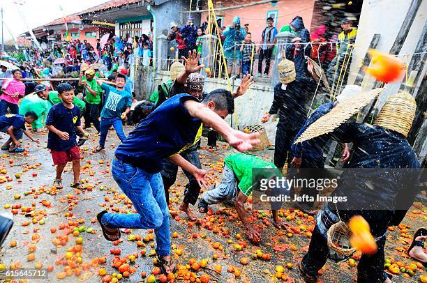 Participants throw tomatoes as they take part in the annual Rempug Tarung Adu Tomat festival in West Bandung, on October 19, 2016 in West Jave,...