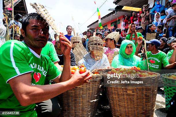 Participants throw tomatoes as they take part in the annual Rempug Tarung Adu Tomat festival in West Bandung, on October 19, 2016 in West Jave,...