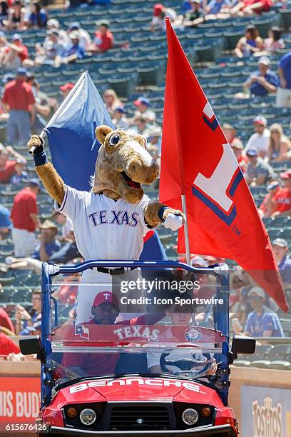 Texas Rangers Mascot "Captain" prior to the MLB Opening Day game between the Seattle Mariners and Texas Rangers at Globe Life Park in Arlington, TX.