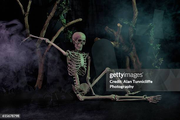 skeleton resting - esqueleto humano fotografías e imágenes de stock