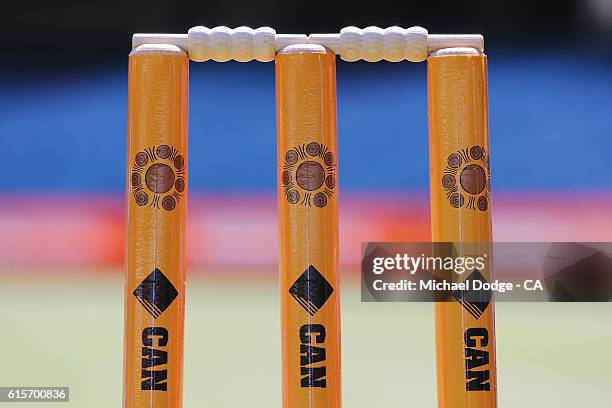 Artist Fiona Clarke, a descendent of players from the 1866 and 1868 Indigenous cricket teams, displays her work that will feature on the stumps and...