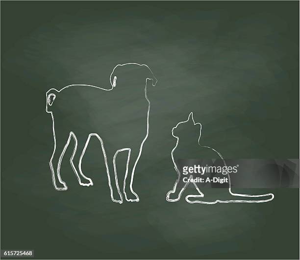 illustrations, cliparts, dessins animés et icônes de amis chats et chiens au tableau noir - cat white background
