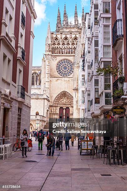 the cathedral of saint mary of burgos - burgos stock pictures, royalty-free photos & images