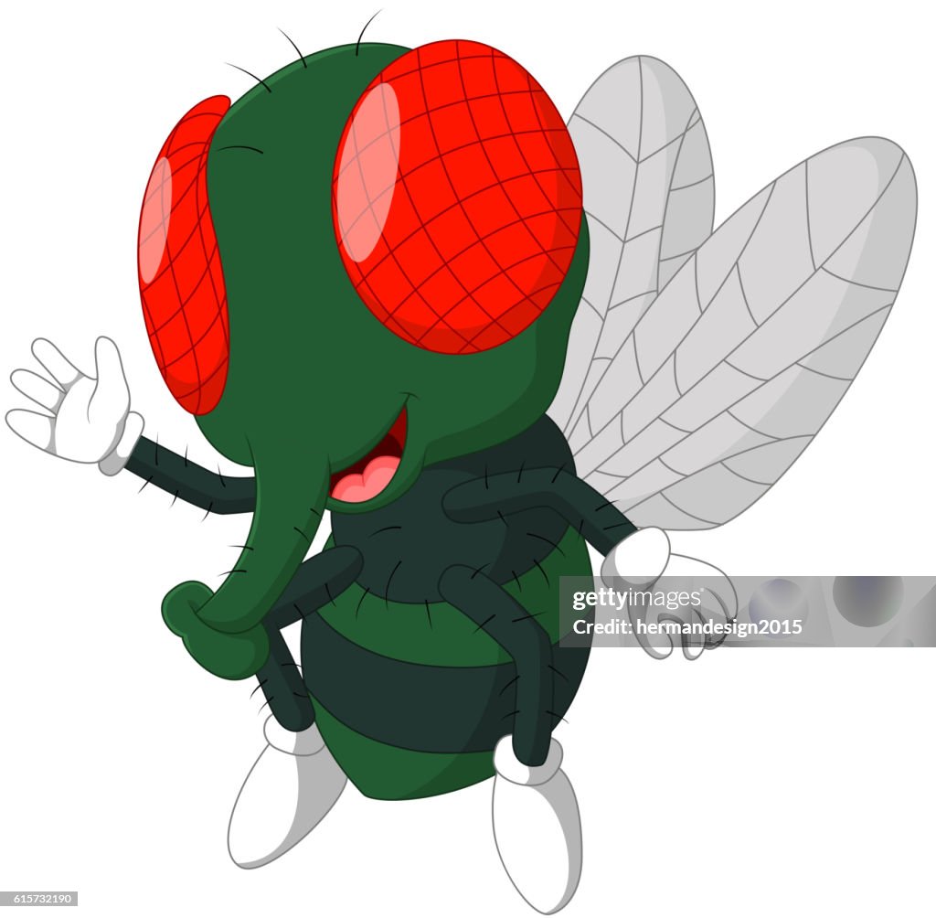 Fly Cartoon High-Res Vector Graphic - Getty Images