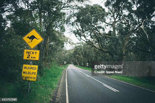 kangaroo crossing road sign, mornington peninsula national park - mornington peninsula stock-fotos und bilder