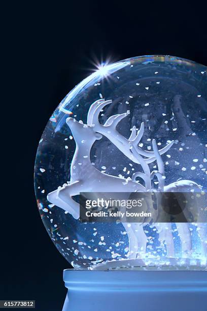 reindeer winter snow globe - snow globe stock-fotos und bilder