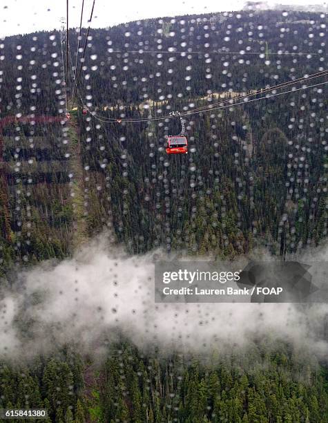 view of a cable car - lauren glassberg stock-fotos und bilder