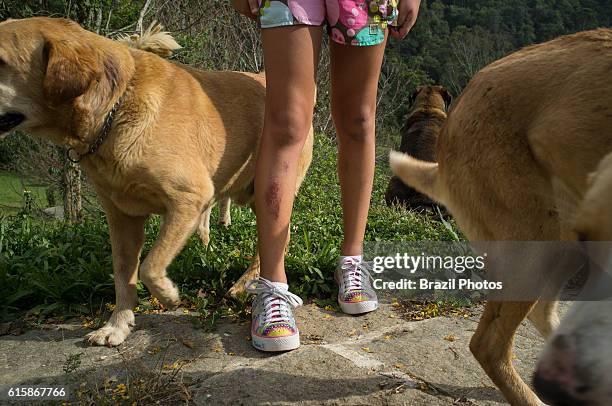 Tomboy having injured legs plays with her dogs in the garden.