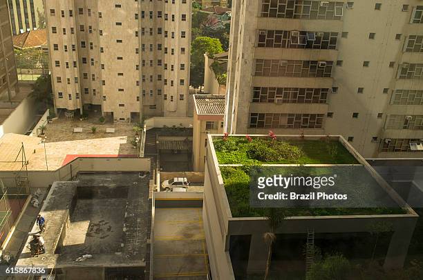 Urban gardening, garage roof garden, Belo Horizonte, Minas Gerais State, Brazil.