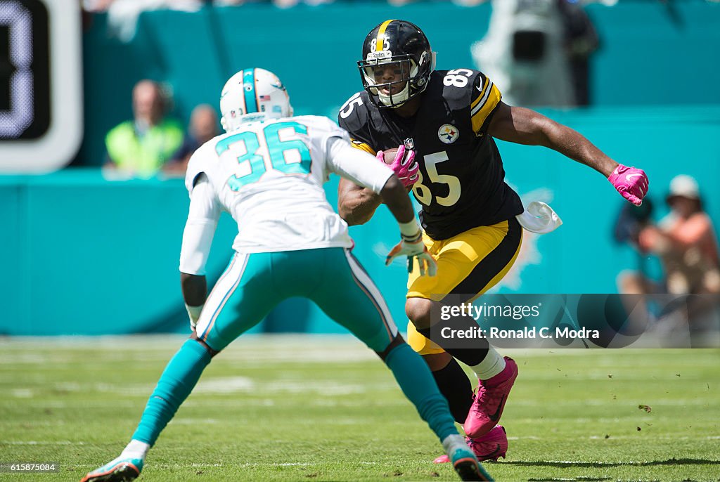 Pittsburgh Steelers v Miami Dolphins