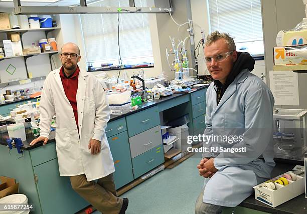 Timm Strathmann Strathmann Photos and Premium High Res Pictures - Getty Images