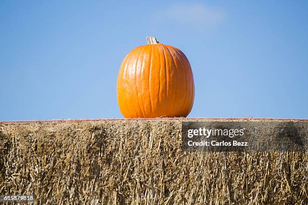 pumpkin and hay - ora cave fotografías e imágenes de stock