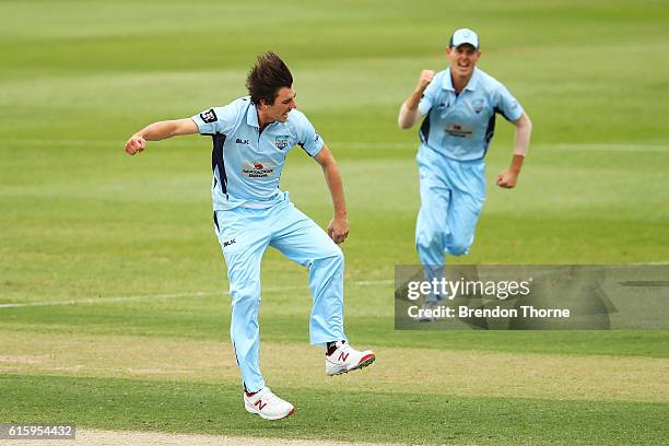 Patrick Cummins of the Blues celebrates after claiming the wicket of Cameron White of the Bushrangers during the Matador BBQs One Day Cup match...