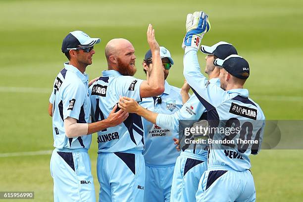 Doug Bollinger of the Blues celebrates with team mates after claiming the wicket of Aaron Finch of the Bushrangers during the Matador BBQs One Day...