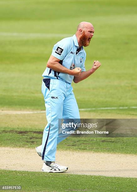 Doug Bollinger of the Blues celebrates after claiming the wicket of Aaron Finch of the Bushrangers during the Matador BBQs One Day Cup match between...