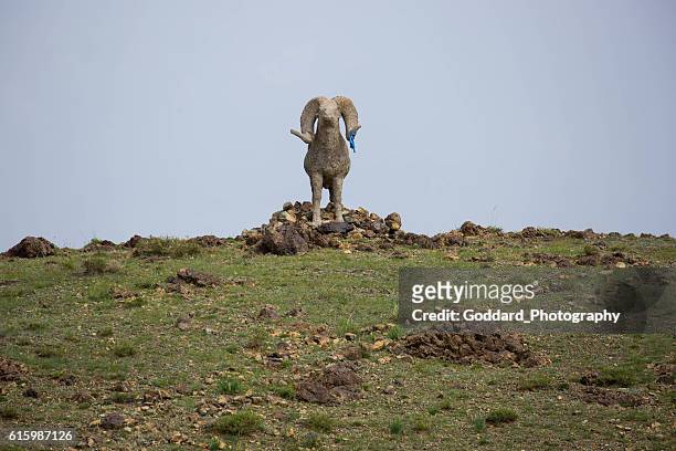 mongolia: hilltop statue at khanbogd ger camp - argali 個照片及圖片檔