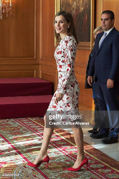 Queen Letizia of Spain attends several audiences during the Princess of Asturias awards 2016 at the Reconquista Hotel on October 21, 2016 in Oviedo,...