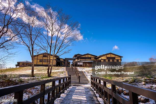 general view of people snowboarding on a tree-lined piste in the niseko grand hirafu ski resort, hokkaido, japan - hirafu snow resort photos et images de collection